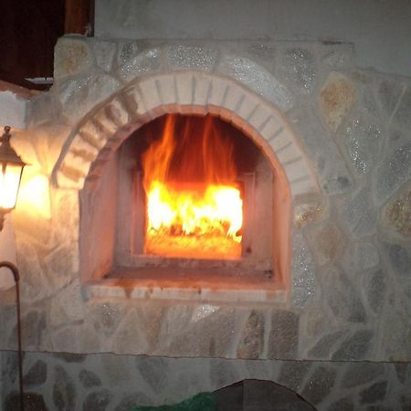 Tzvetelina Palace Hotel Dolna Banya Esterno foto