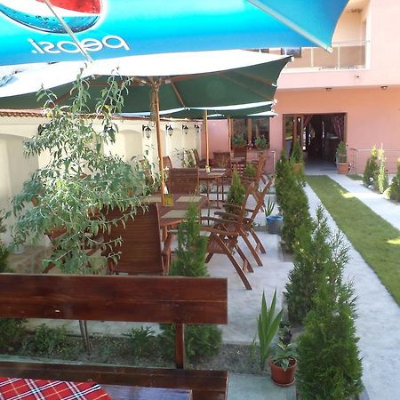 Tzvetelina Palace Hotel Dolna Banya Esterno foto