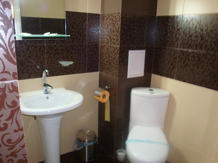 Tzvetelina Palace Hotel Dolna Banya Esterno foto