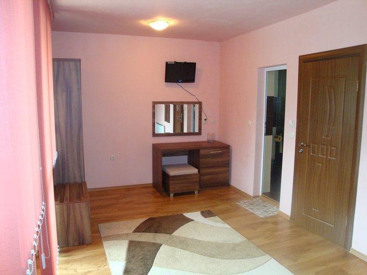 Tzvetelina Palace Hotel Dolna Banya Esterno foto