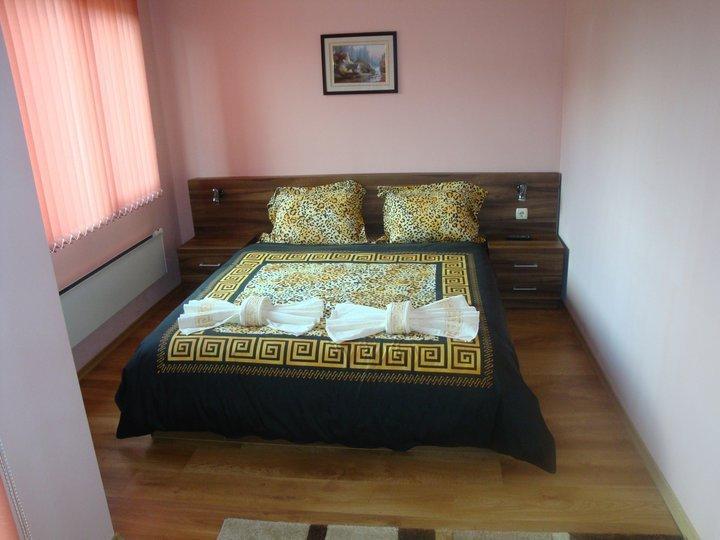 Tzvetelina Palace Hotel Dolna Banya Esterno foto