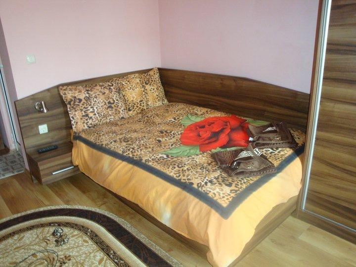 Tzvetelina Palace Hotel Dolna Banya Camera foto