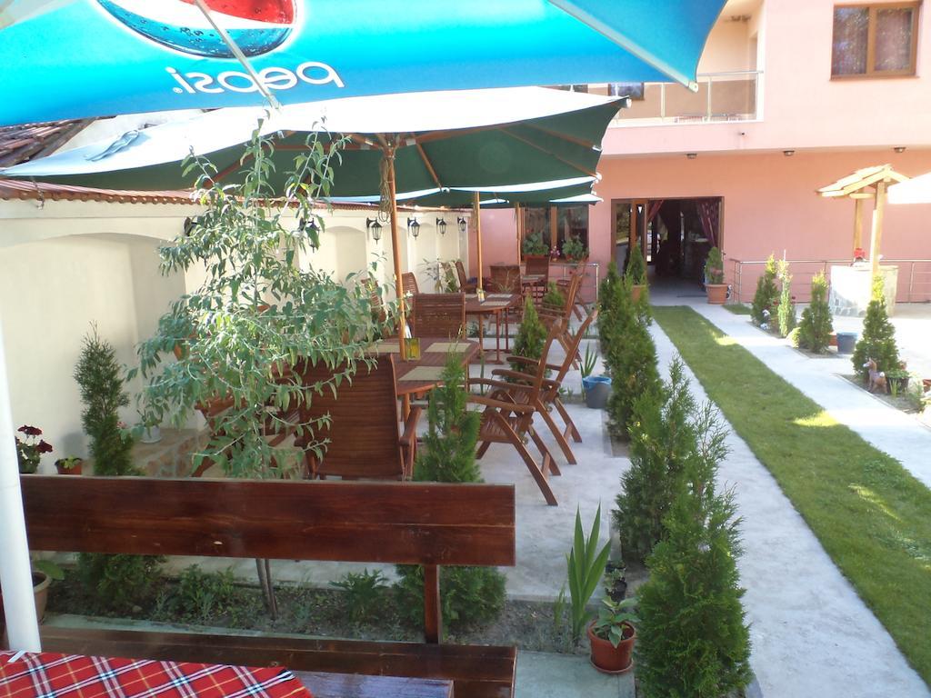 Tzvetelina Palace Hotel Dolna Banya Esterno foto