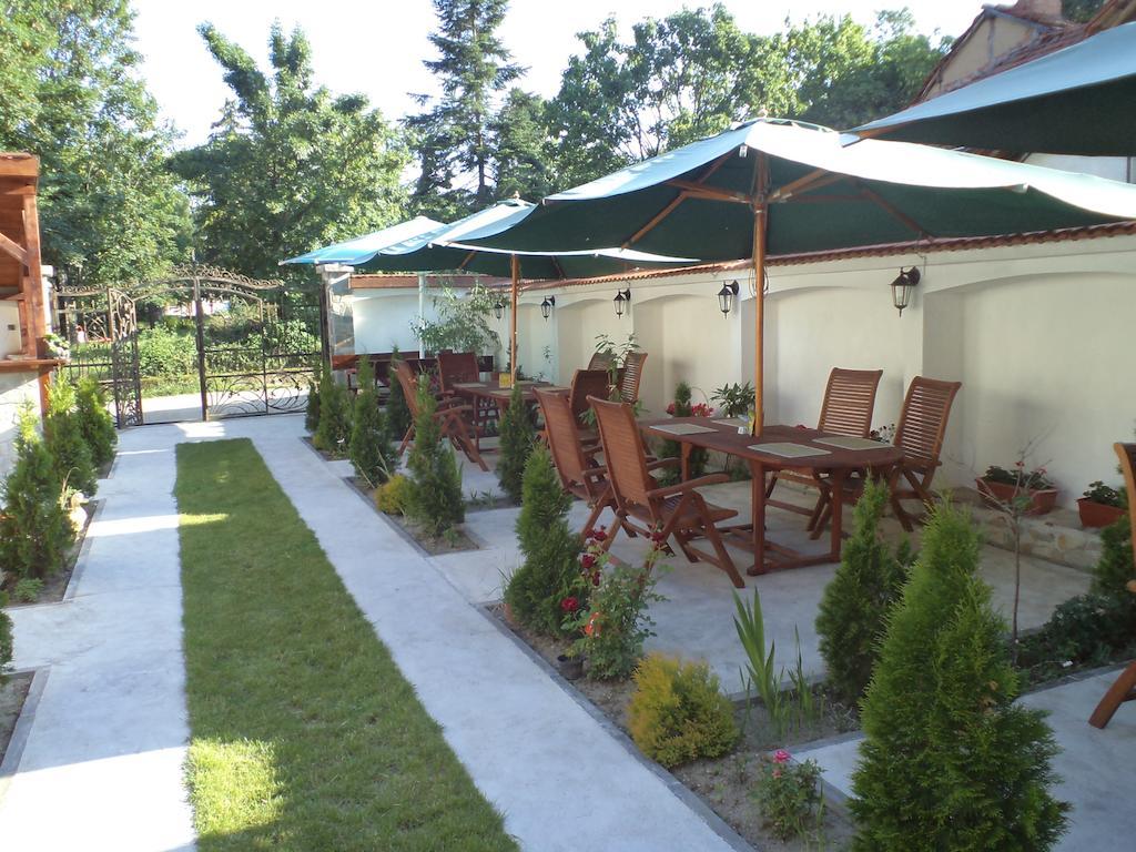 Tzvetelina Palace Hotel Dolna Banya Esterno foto